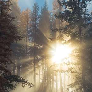 免费日韩三级电影
